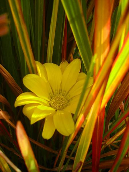 ��������...