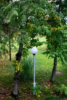 ������ � �������  