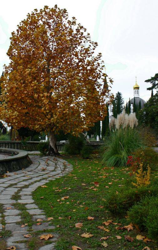  �����. ��������