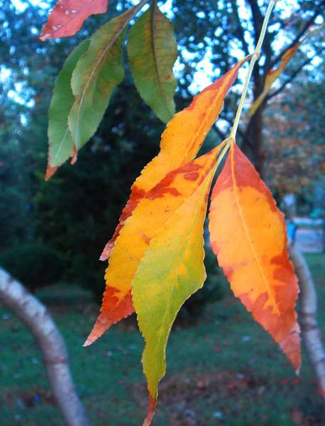 ����� ��������� �����...