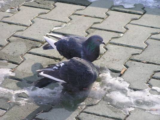 ���������2