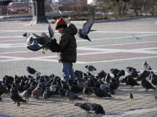 ���������4