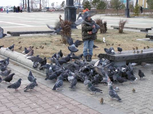 ���������5