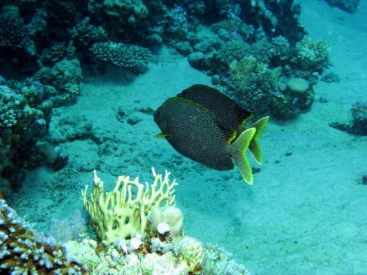 ��������� ������