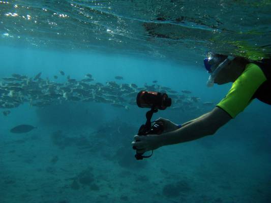 ��� ������� �����������