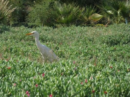 ����� �����