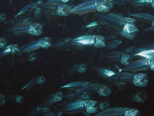 ���-�-�-�