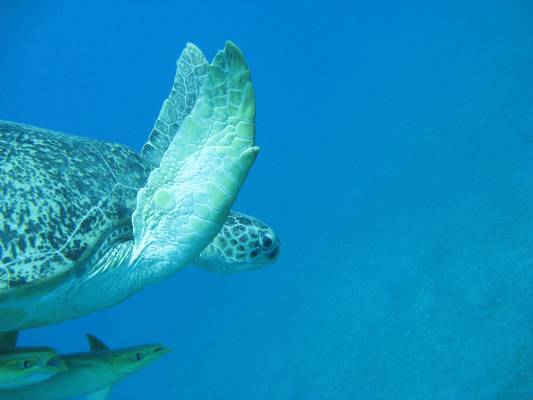 ��������!