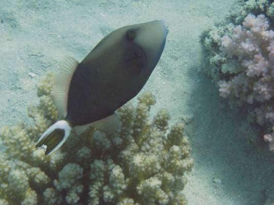 ������������ �� ������ ����