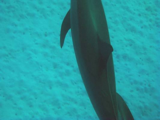 ��� ������ ���� ���� � ������������!