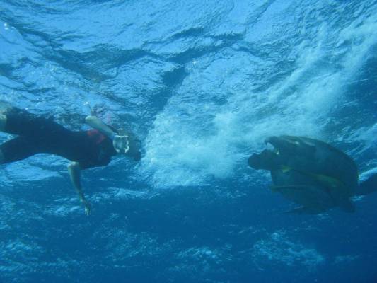 ��������, ������!