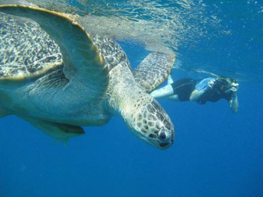 ����� �� ���