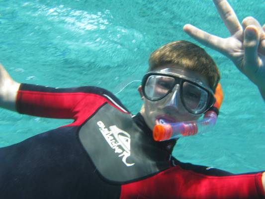 ������� ����