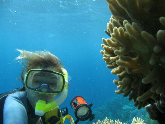 ������ ������