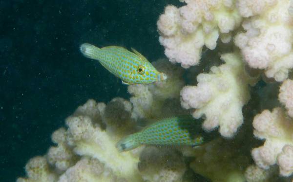 ������������-�������