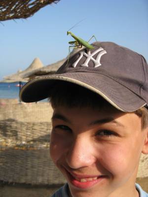 ����, ���������� ���������