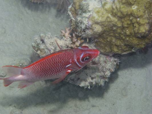 ����-�����