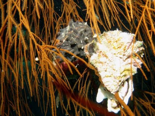 ����������