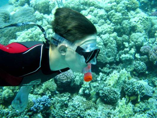 ���� ��� �����