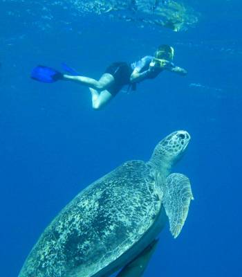 ������� �������� �� ���� ������