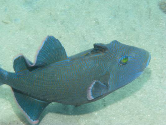 ������ � ��������!