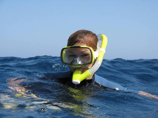 ������� ���� �������