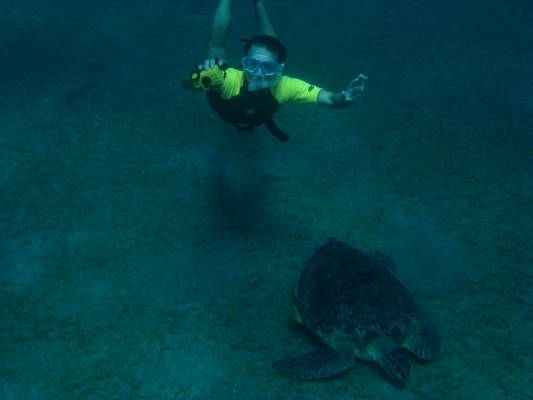 ������ ������ ������ �� ������� ���������