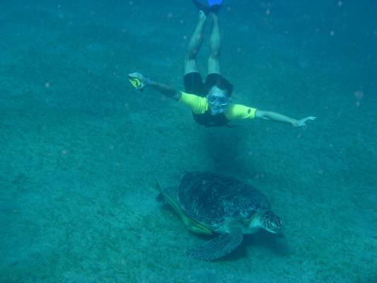 ����, �������� � ���������