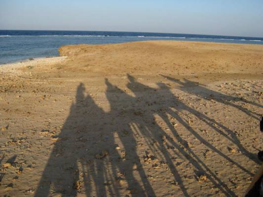 ���-�� �� ����