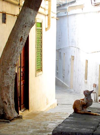 � ������ ������..