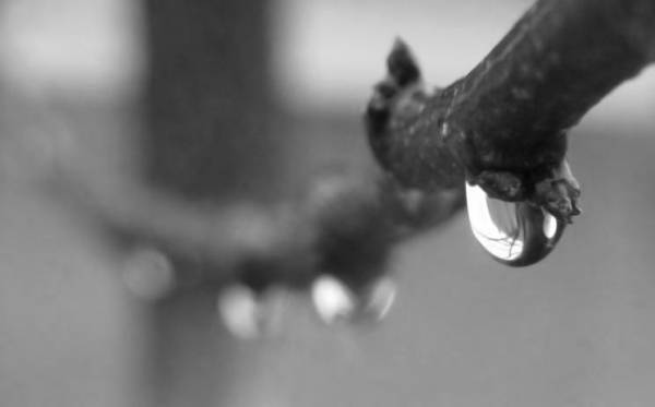 ����� � ���