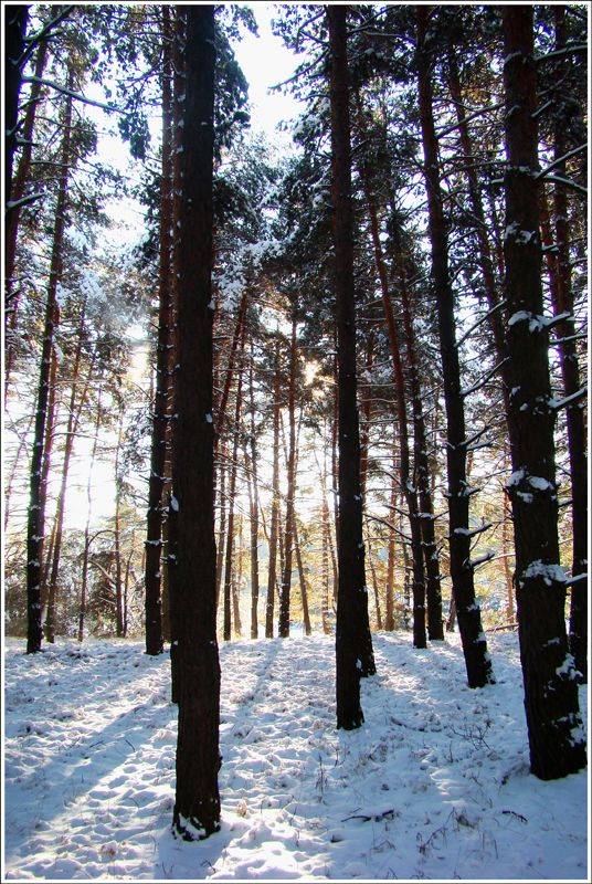 ���������� ���