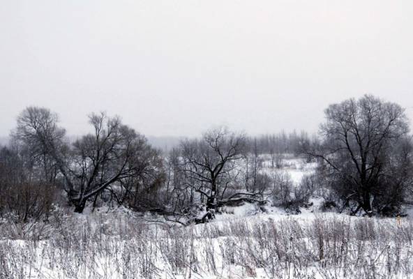 ��������� �����