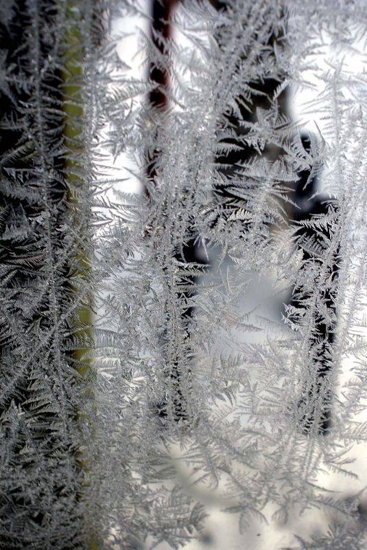 �������� �����