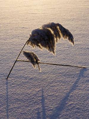 ��������...