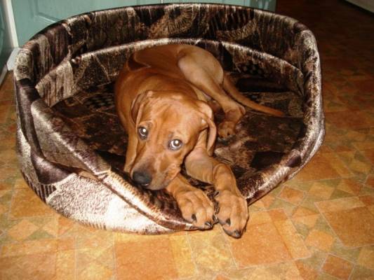 �������� ������(4���)