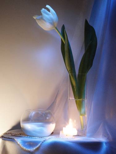 �������� ������. �������2