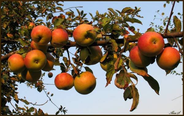 ��������!