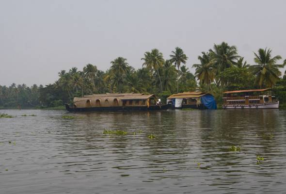 Back water, 