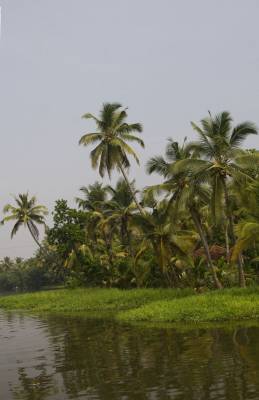 Back water, 