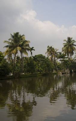Back water, 