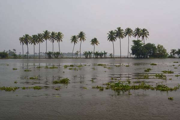 Back water, 