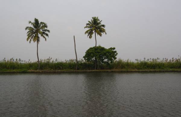 Back water, 