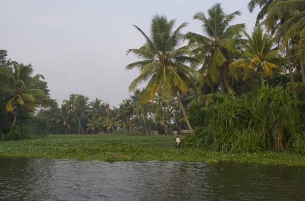 Back water, 