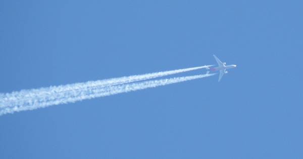 � ���� ����� ������� ���������-���������