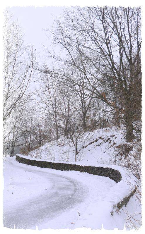 � ����� �����