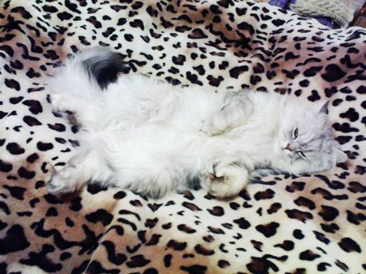 �����-������