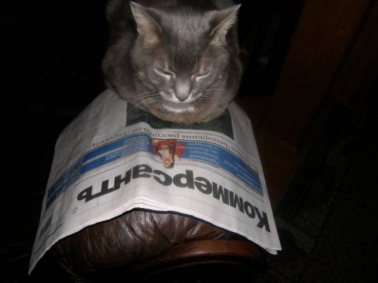 �������� ������