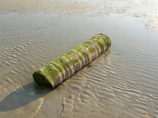 ������� ������