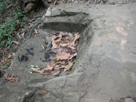 � ��������